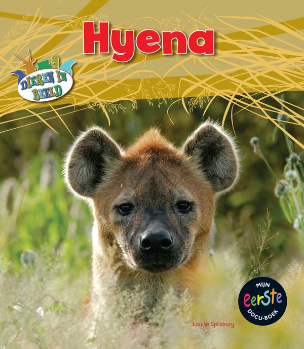 Hyena / Dieren in beeld