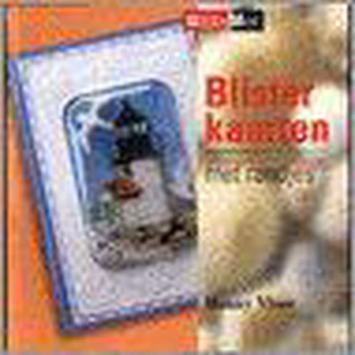 boekenbalie_9789058770035_cover Blisterkaarten met randjes / Hobby Mee
