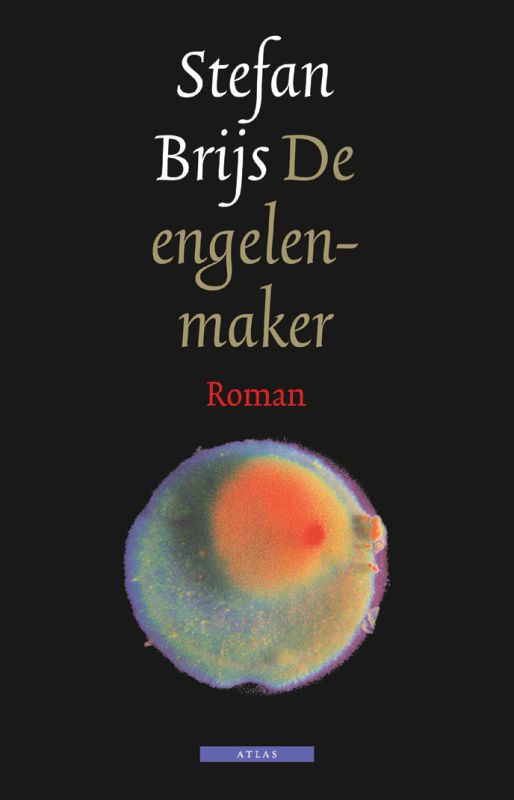 Stefan Brijs De Engelenmaker thumbnail