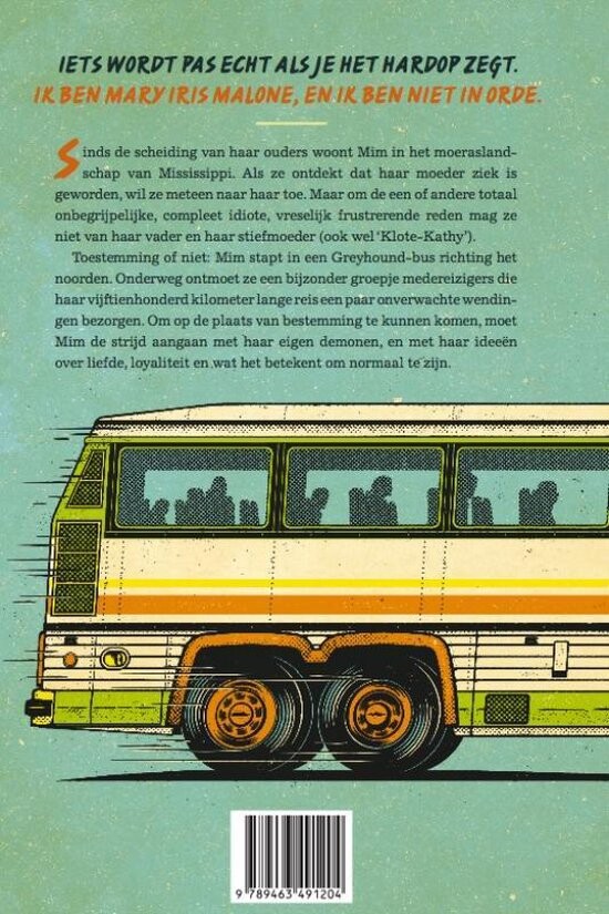 Mosquitoland achterkant