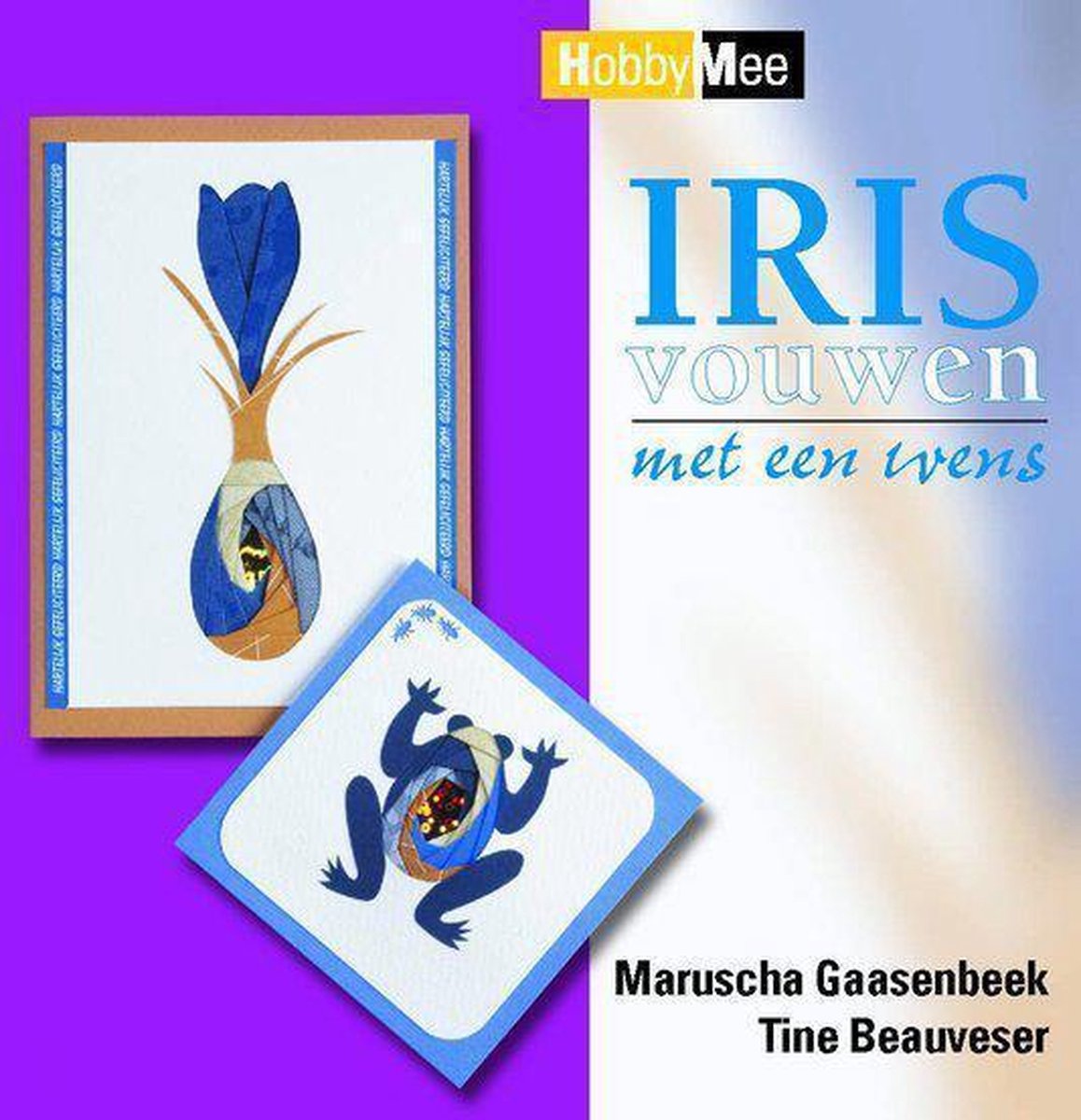 boekenbalie_9789058772336_cover Irisvouwen Met Een Wens