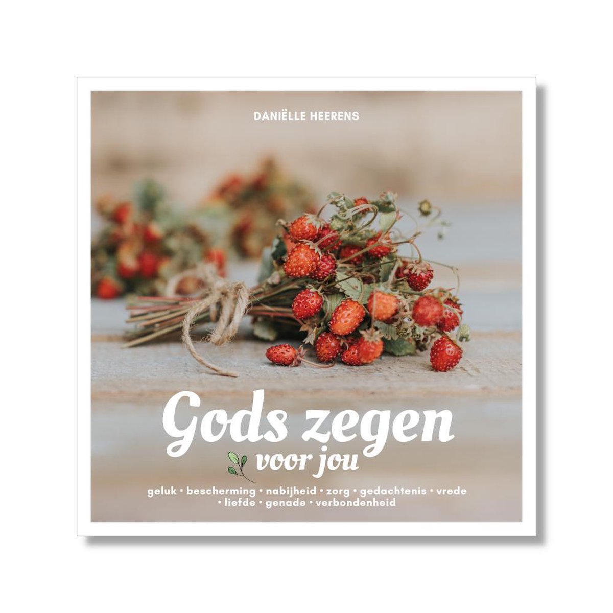 Gods Zegen Voor Jou - Daniëlle Heerens thumbnail