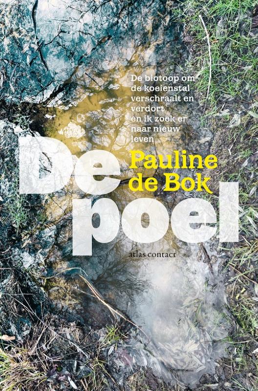 boekenbalie_9789045040820_cover De poel