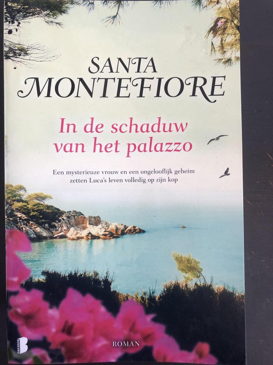 boekenbalie_9789022575819_cover In de schaduw van het palazzo - Santa Monteriore