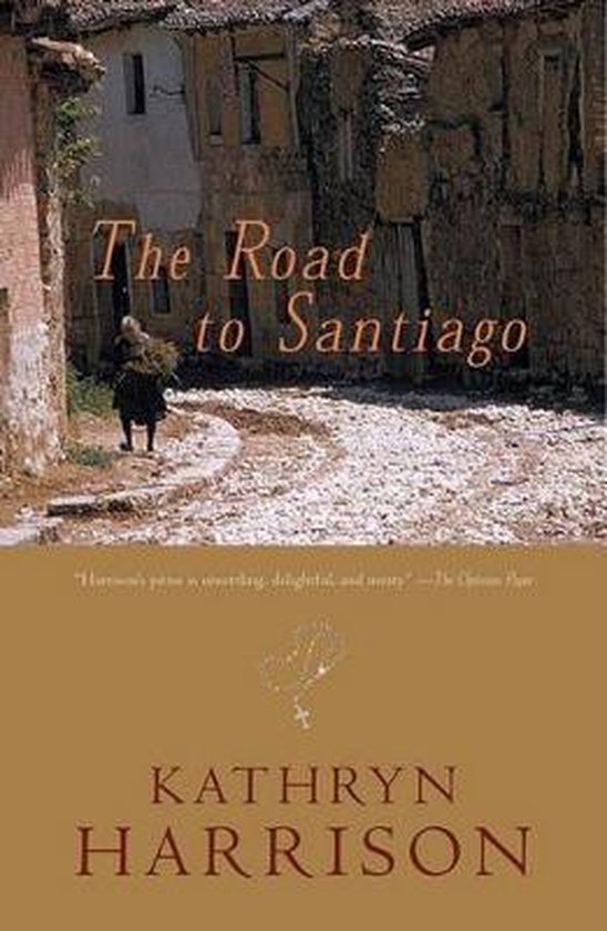 boekenbalie_9780792237457_cover Road To Santiago