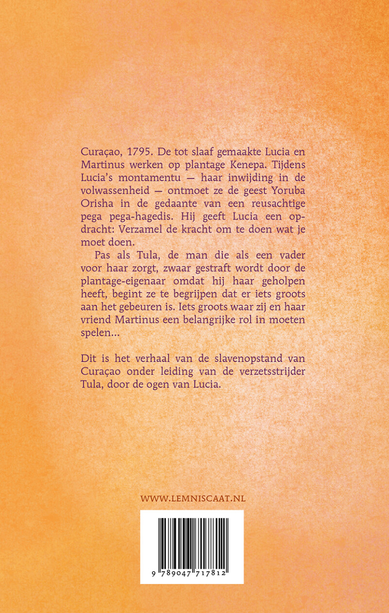 De opdracht van Tula achterkant