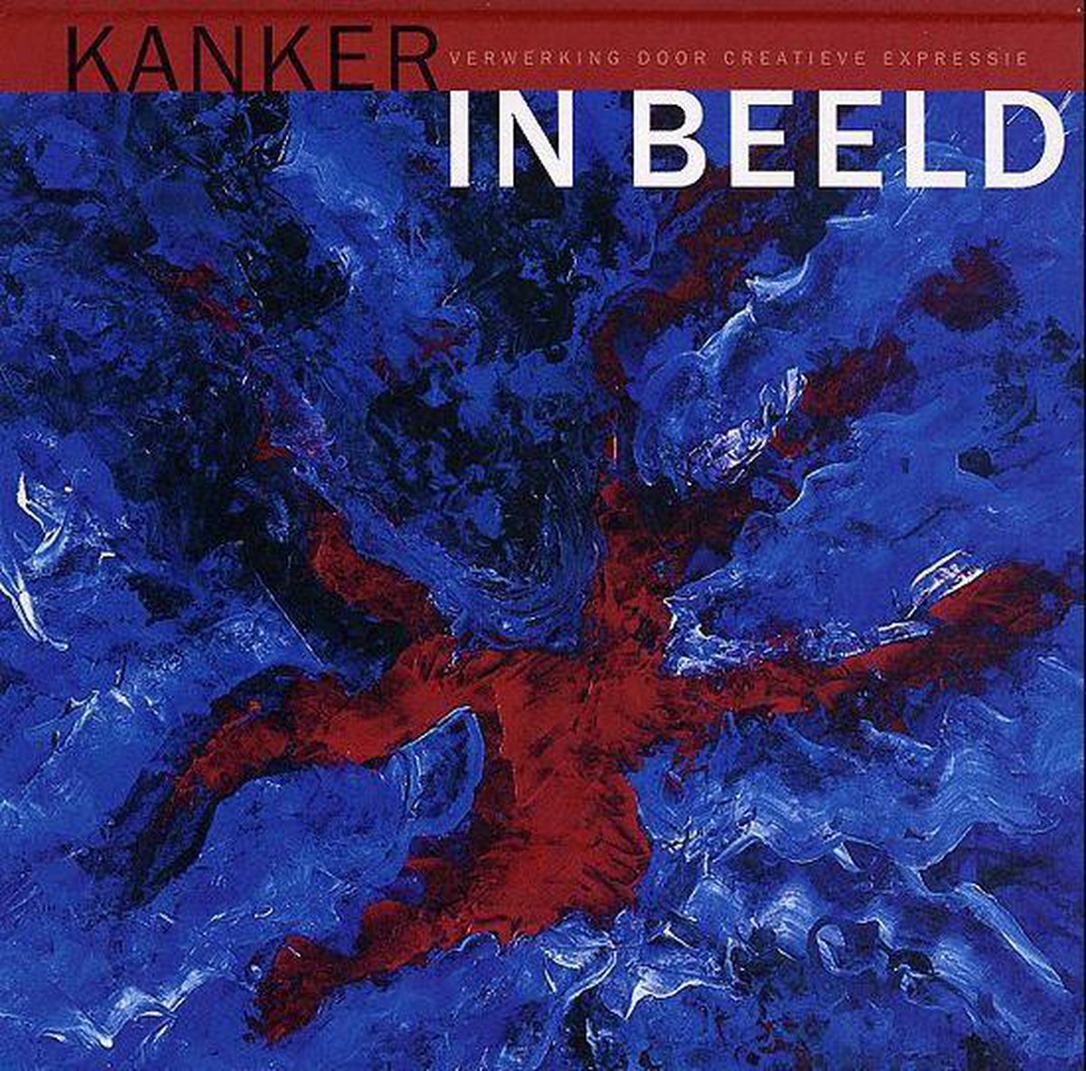 Jan Taal Kanker In Beeld thumbnail