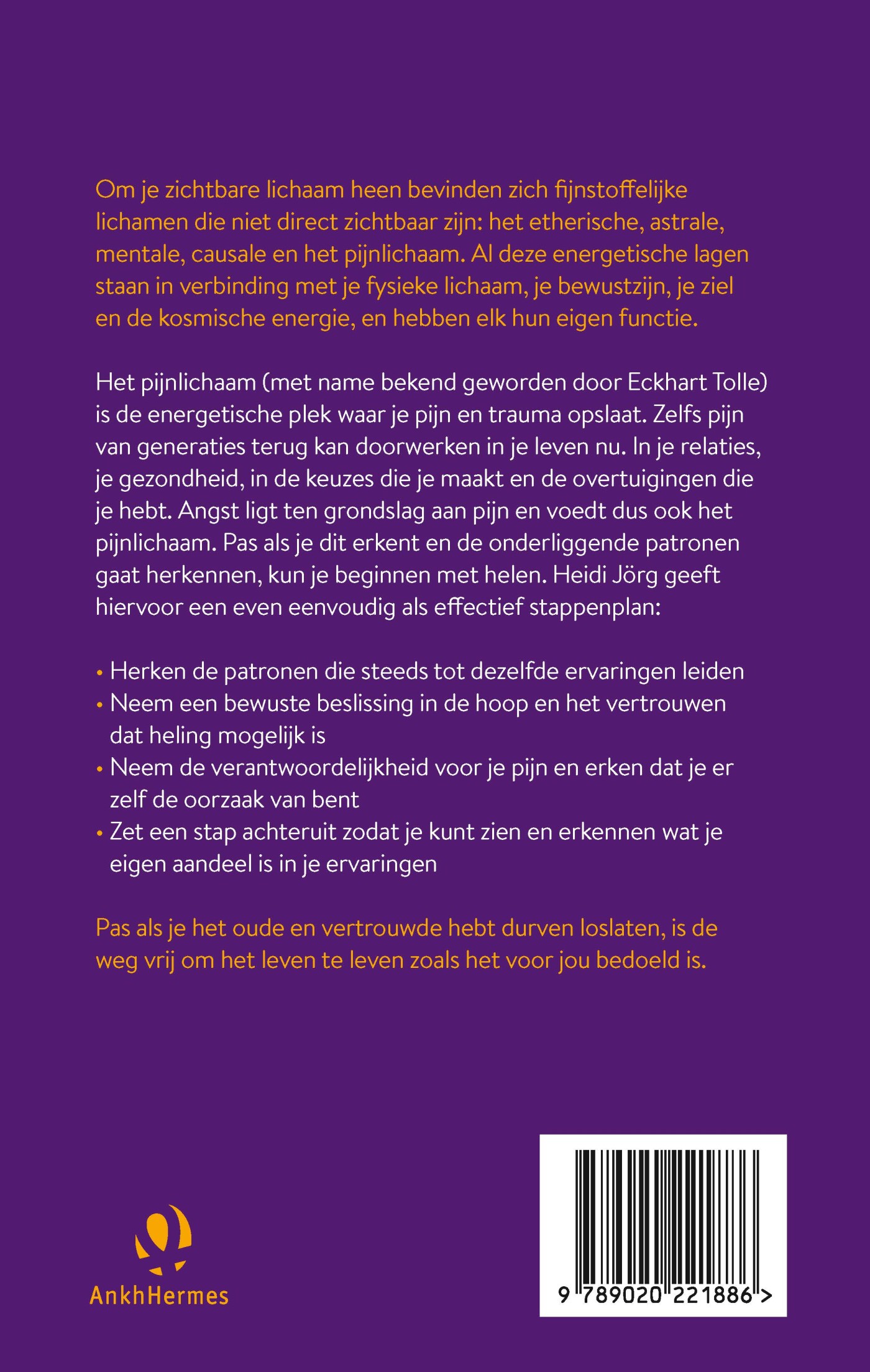 Het pijnlichaam achterkant