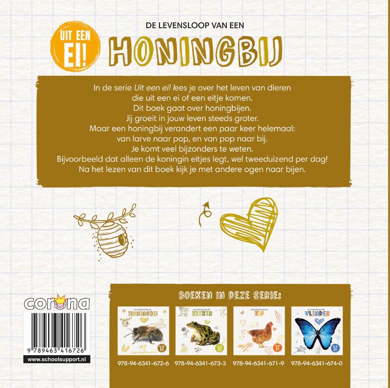 De levensloop van de honingbij / Uit een ei! achterkant