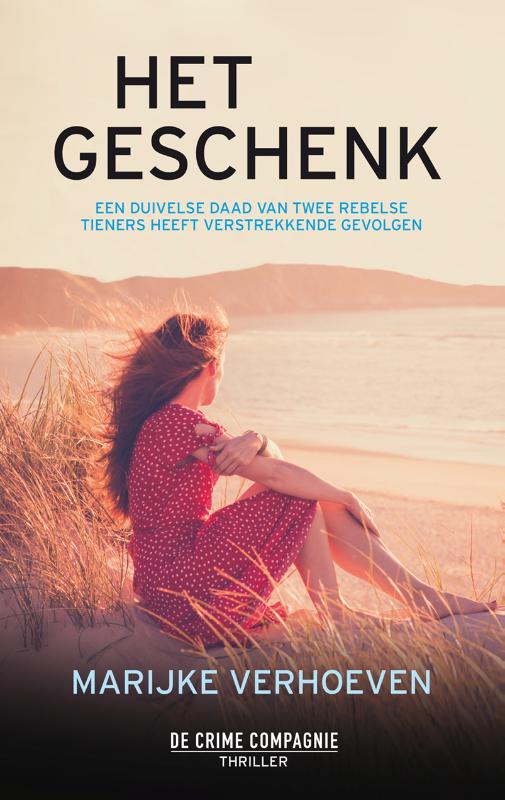 boekenbalie_9789461093417_cover Het geschenk