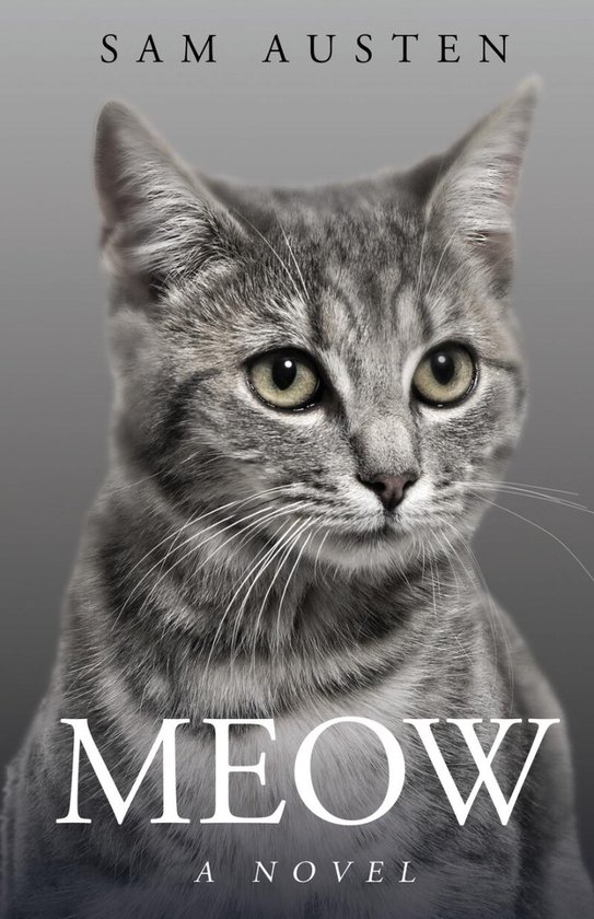Meow / The Meow Library