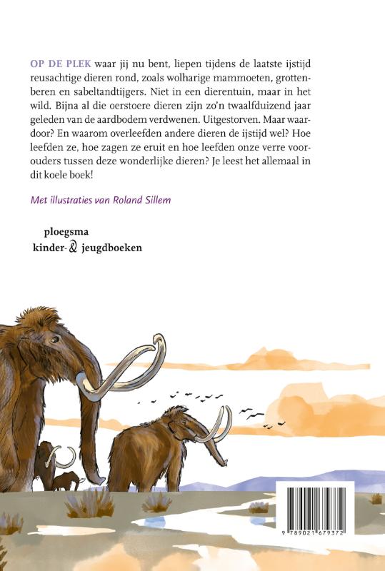 Oerstoer achterkant