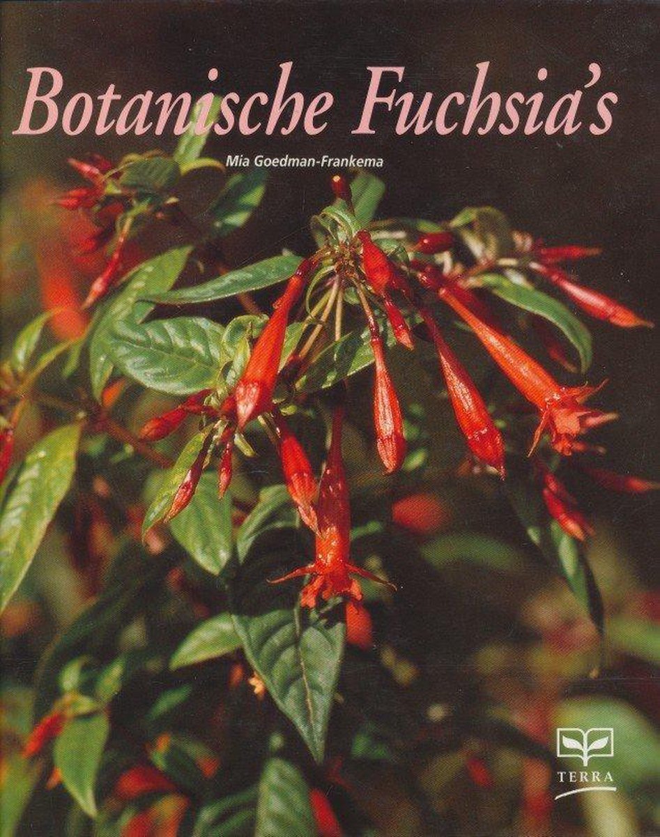 Botanische Fuchsia's