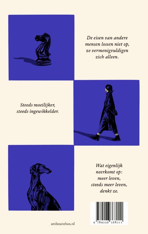 Intermezzo achterkant