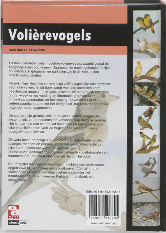 Volierevogels achterkant