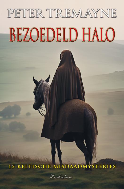 Bezoedeld halo / Zuster Fidelma / 23