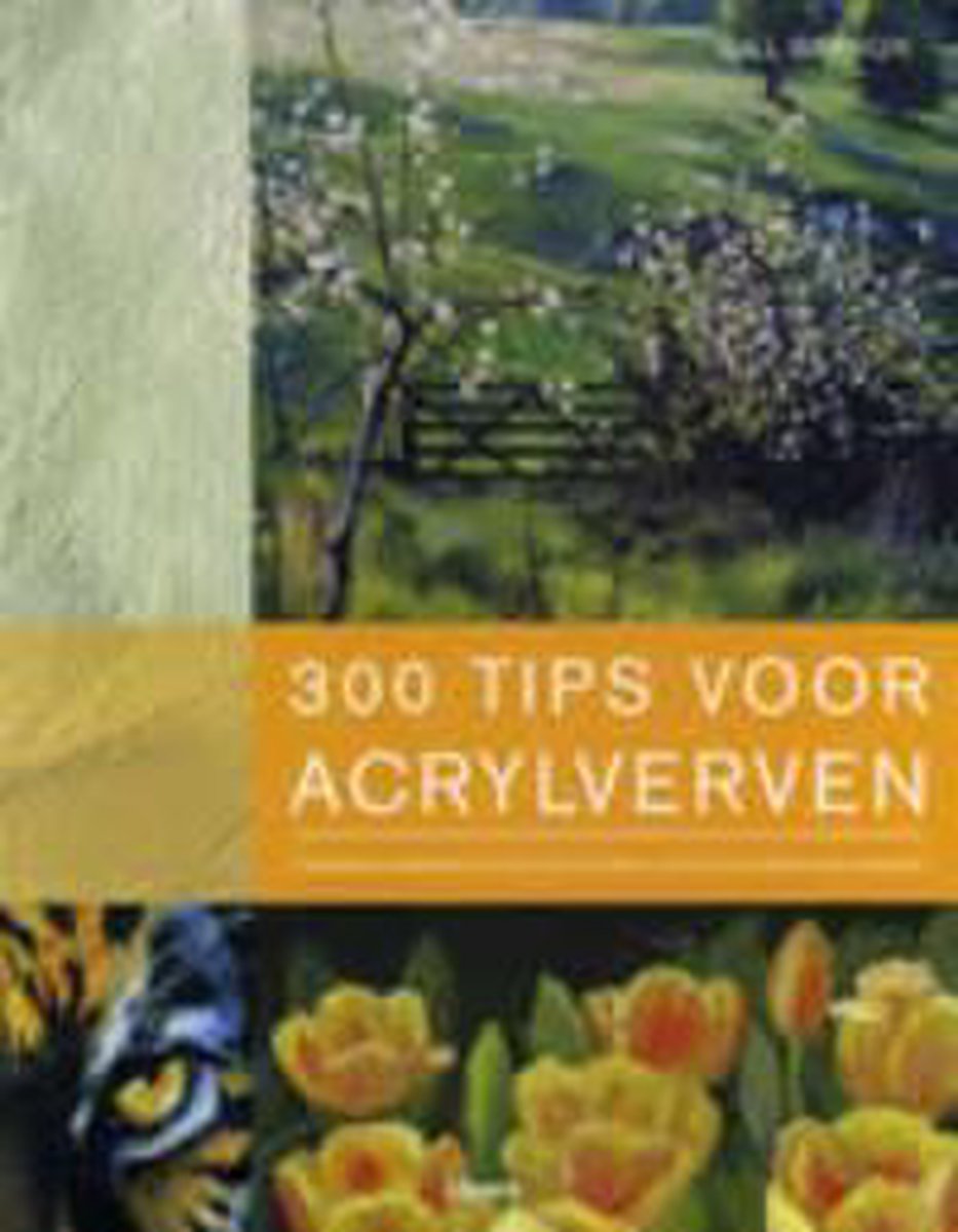 G. Baron 300 Tips Voor Acrylverven