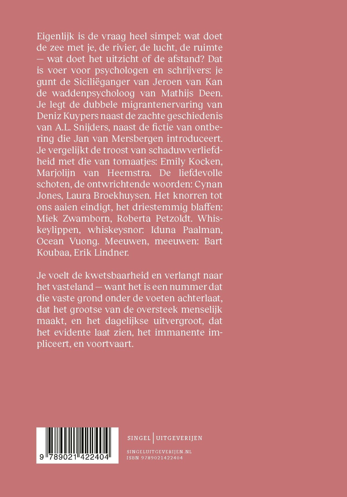 De Revisor 25 de oversteek achterkant