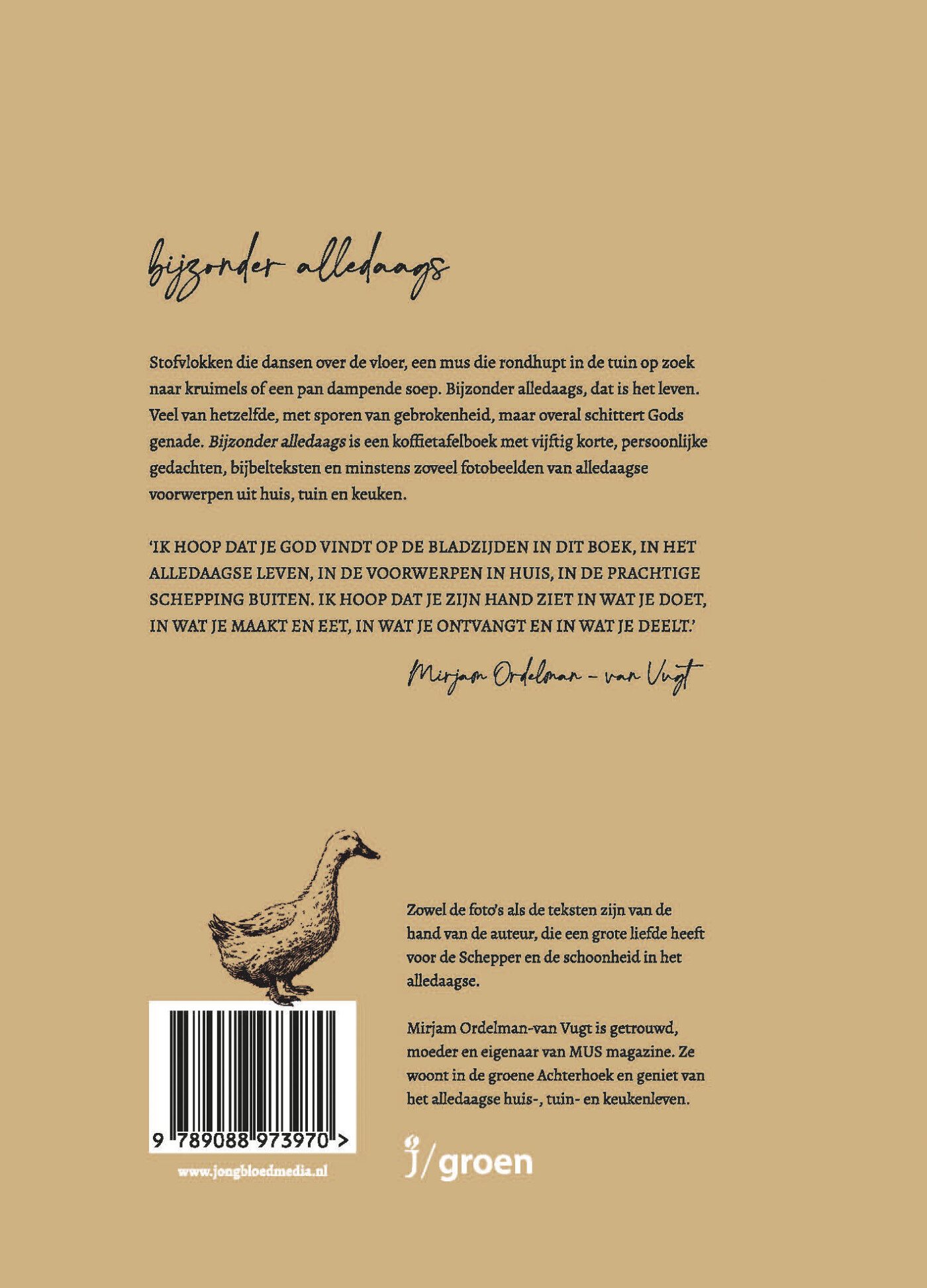 Bijzonder alledaags achterkant