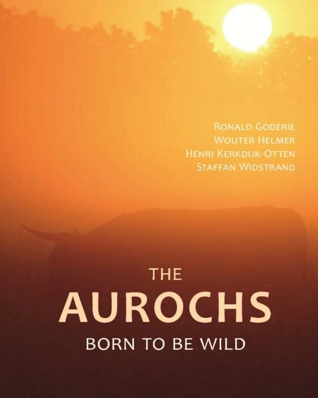 The Aurochs