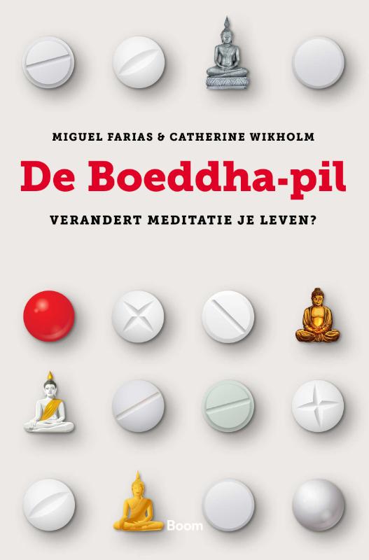 Miguel Farias De Boeddha-pil thumbnail