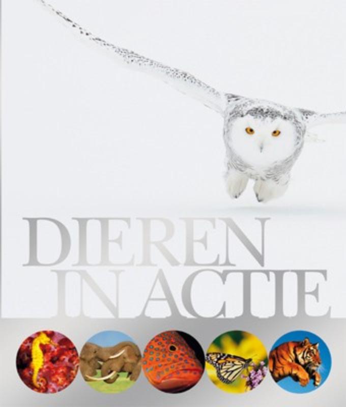 Dieren in actie