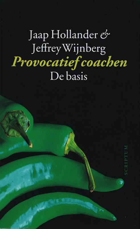 J. Wijnberg Provocatief Coachen thumbnail