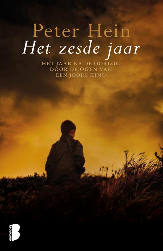 Peter Hein Het Zesde Jaar thumbnail