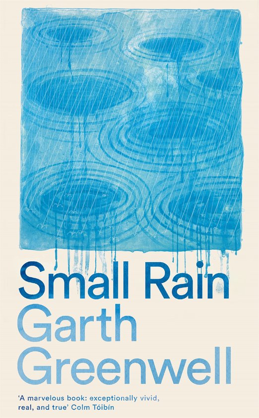 Garth Greenwell Small Rain thumbnail