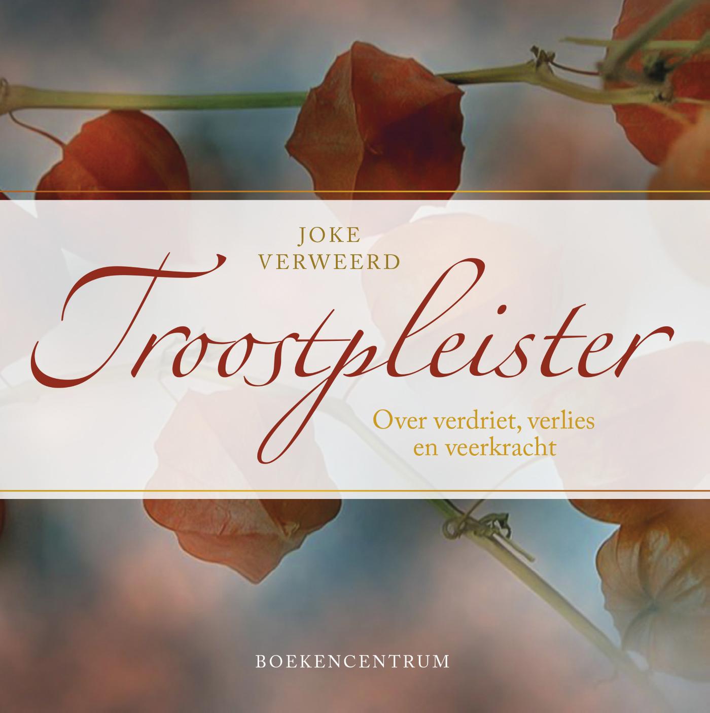 boekenbalie_9789023952664_cover Troostpleister