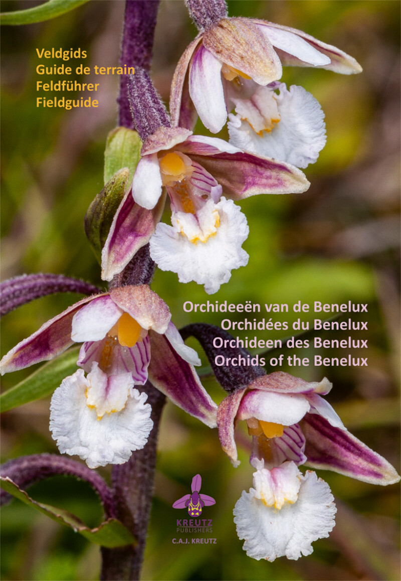 C.A.J. Kreutz Orchideeën Van De Benelux thumbnail