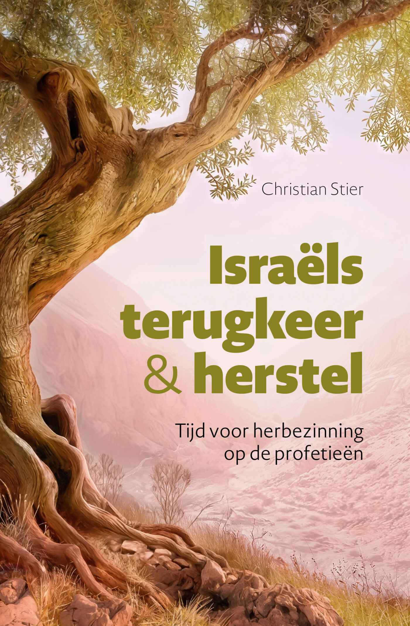 Christian Stier Israëls Terugkeer En Herstel