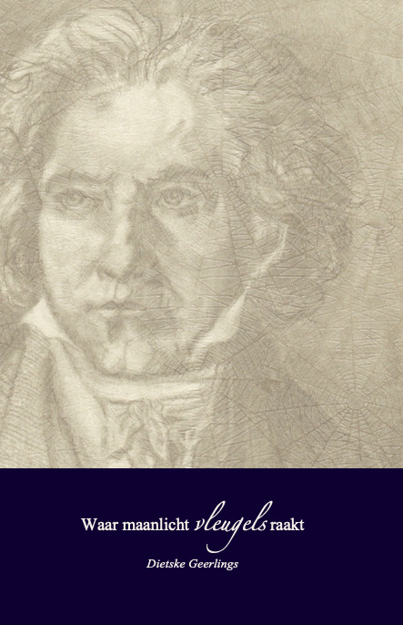 boekenbalie_9789082955378_cover Waar maanlicht vleugels raakt