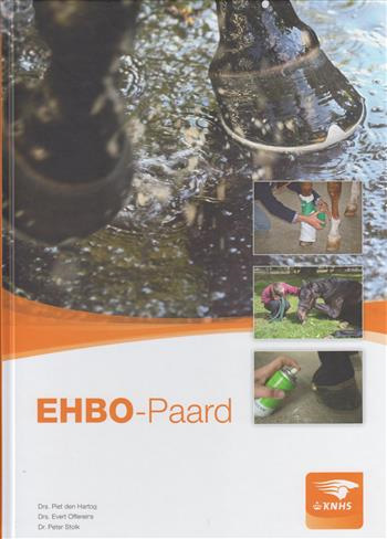 Piet den Hartog Ehbo-Paard thumbnail