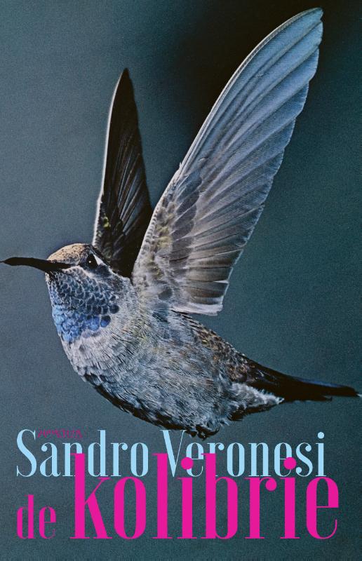 Sandro Veronesi De Kolibrie thumbnail