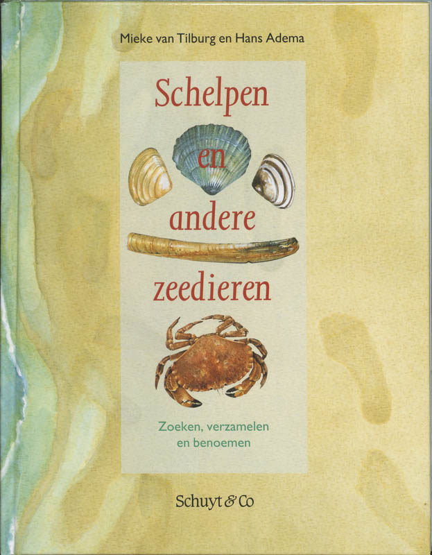 boekenbalie_9789060973554_cover Schelpen en andere zeedieren