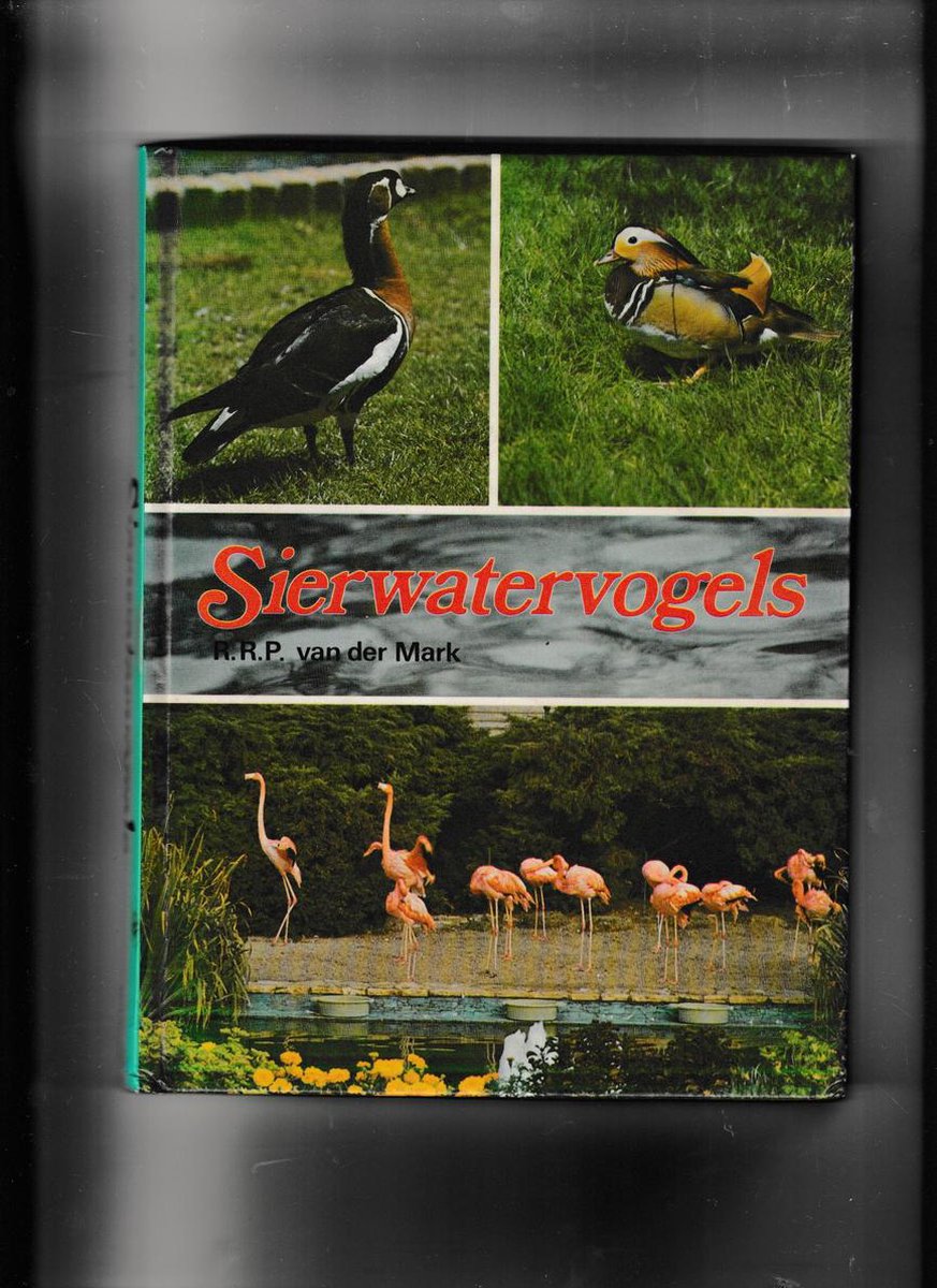 Sierwatervogels