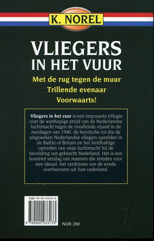 Vliegers in het vuur achterkant