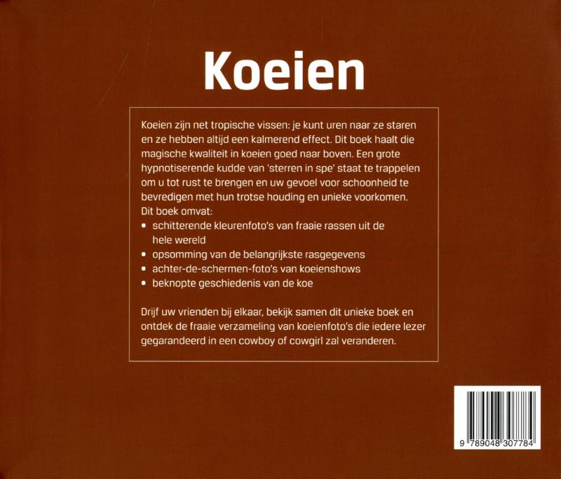 Koeien achterkant