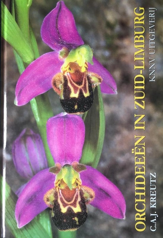 boekenbalie_9789050110297_cover Orchideeen in zuid-limburg