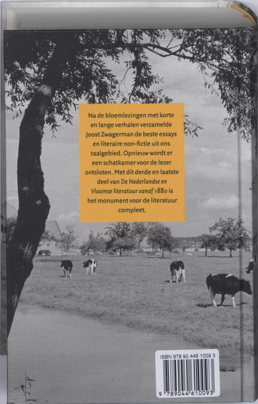 Nederlandse en Vlaamse literatuur vanaf 1880 in 200 essays Nederlandse en Vlaamse literatuur vanaf 1880 in 200 essays achterkant