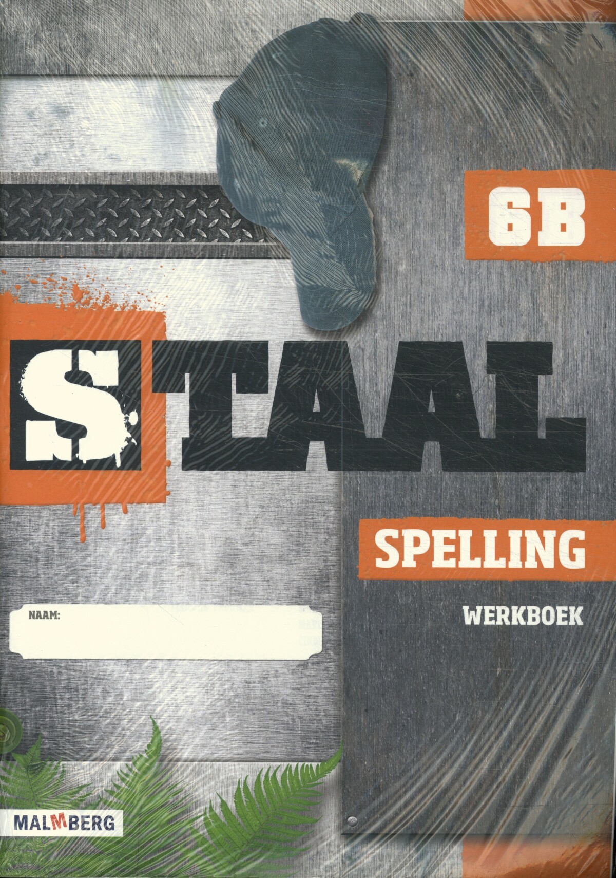 groep 6 / Staal spelling / werkboek b