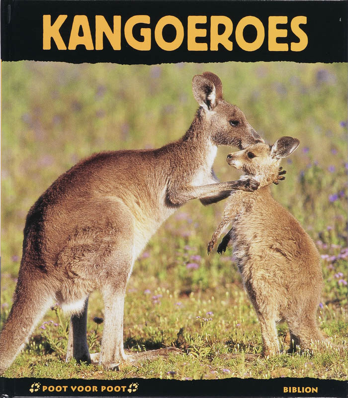 Poot Voor Poot Kangoeroes