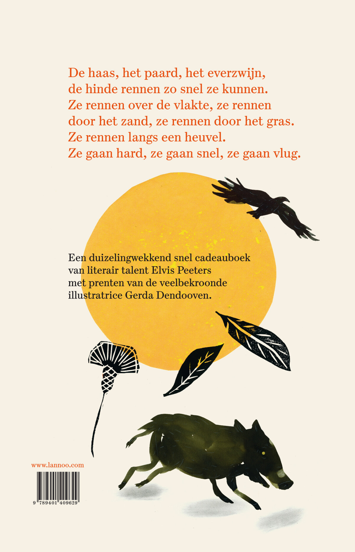 Rennen achterkant
