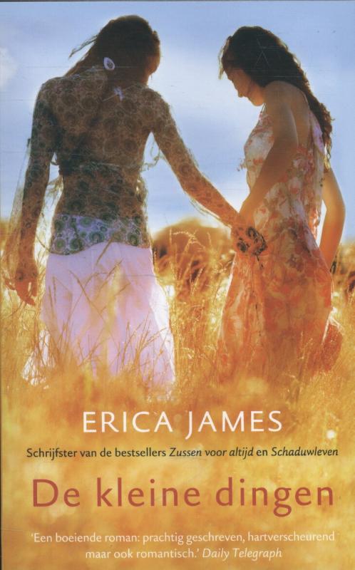 Erica James De Kleine Dingen thumbnail