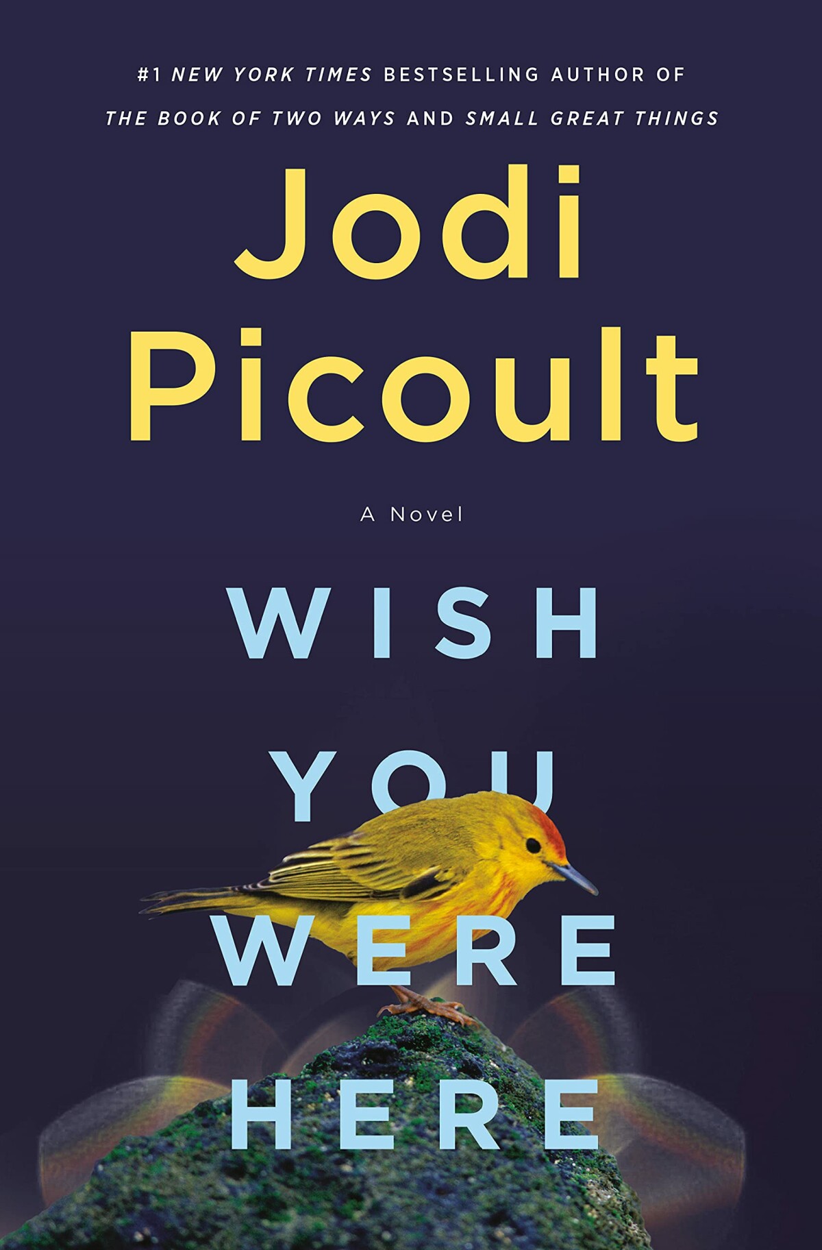 boekenbalie_9780593497203_cover Wish You Were Here