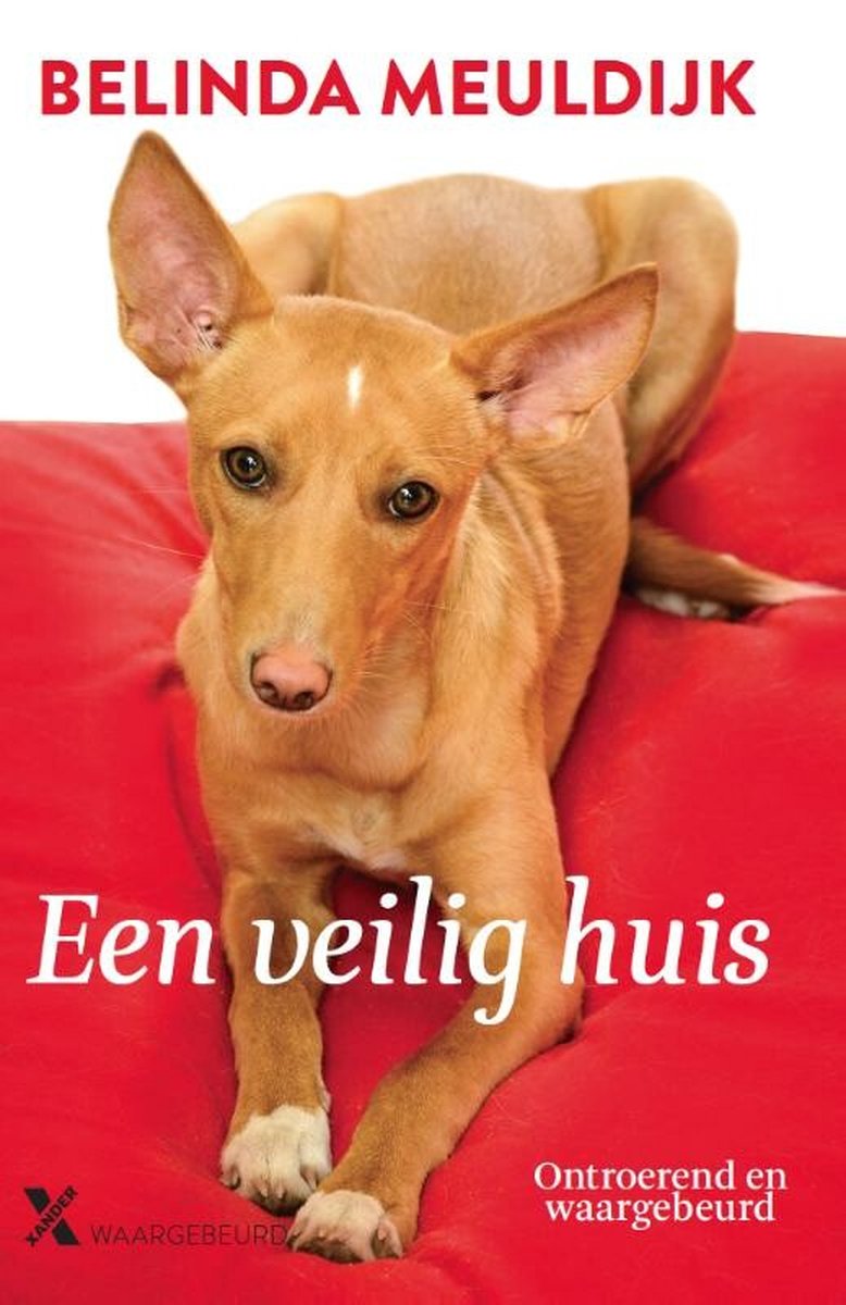 boekenbalie_9789401604840_cover Een veilig huis