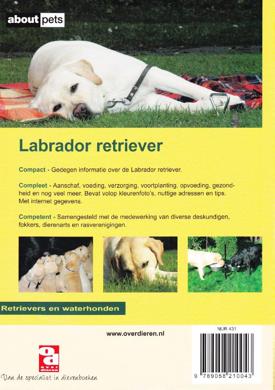 De Labrador retriever / Over Dieren achterkant