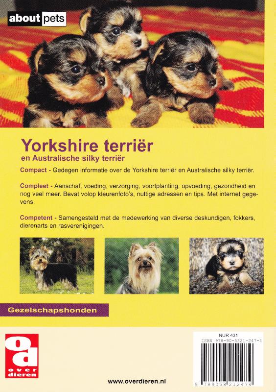 De Yorkshire terrier achterkant