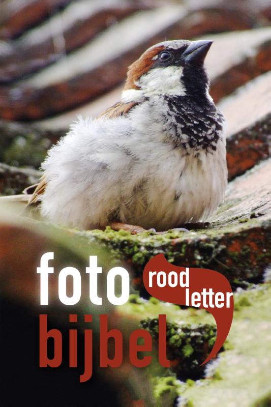 Fotobijbel / Roodletterbijbel